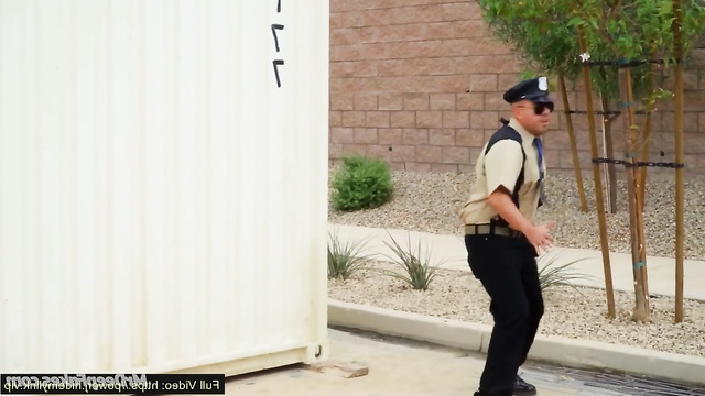 Bad babe demonstrating to police huge boobs (fake Alexandra Breckenridge)